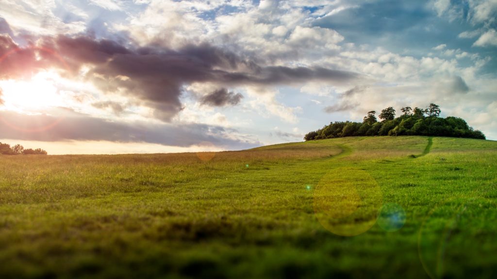 Wittenham Clumps - Earth Trust