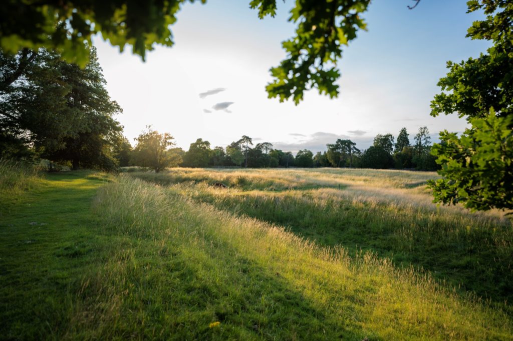 Wallingford Castle Footpath through Meadows