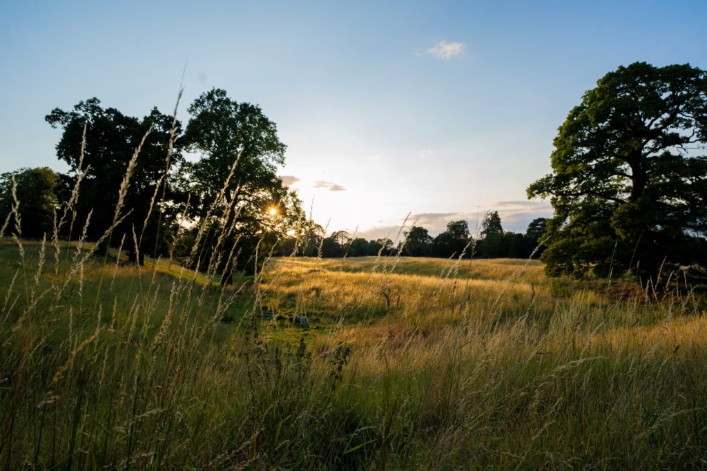 view of wallingford castle meadows