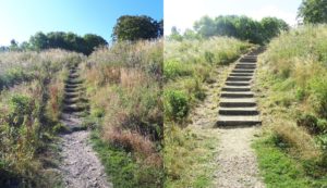 Castle Steps renovation, Wittenham Clumps, Earth Trust