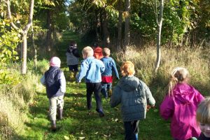 Activity trail