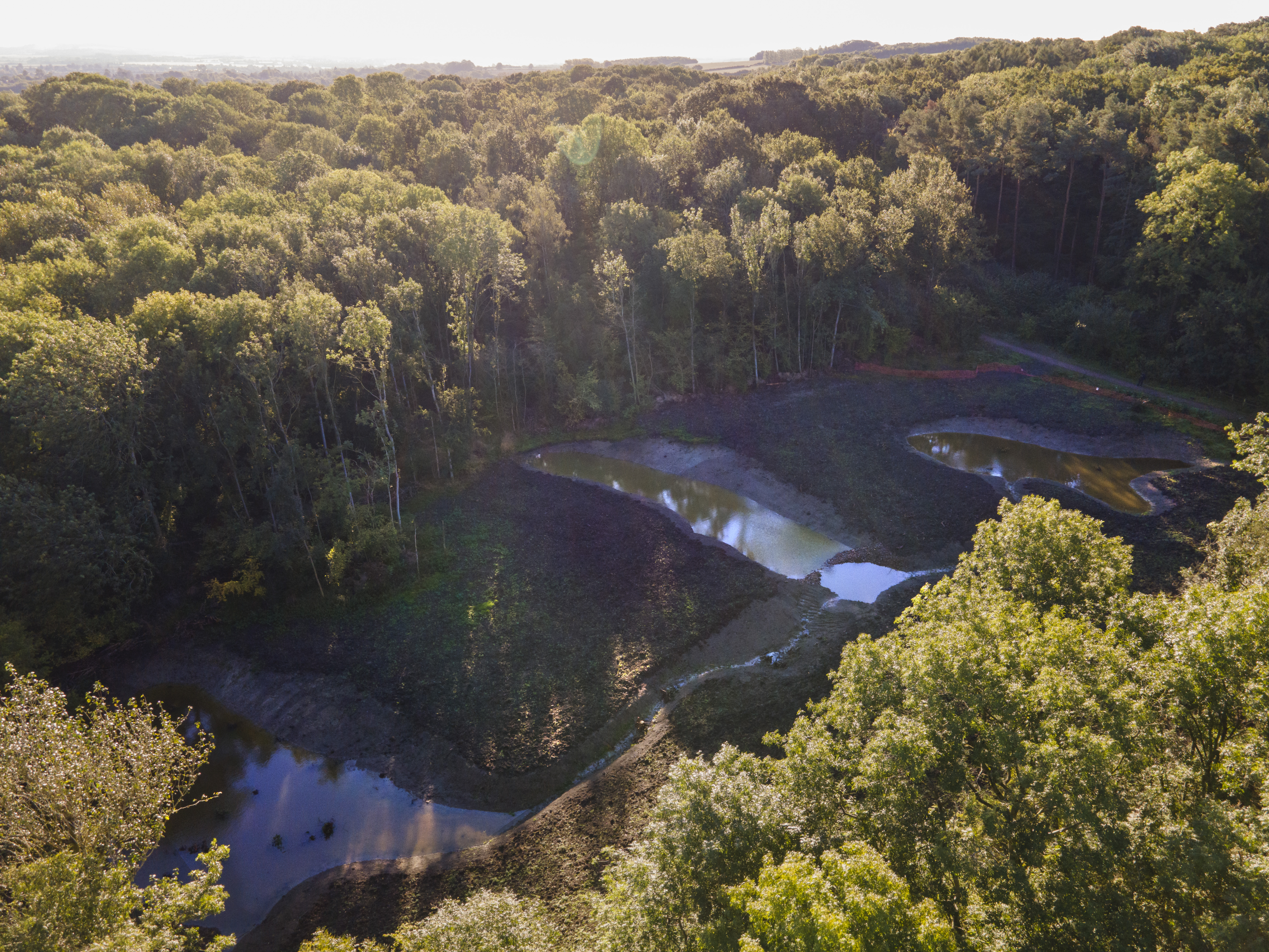 Drone footage of the new ponds in Little Wittenham Wood