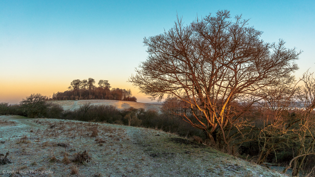 frosty wittenham clumps natural green space in oxfordshire