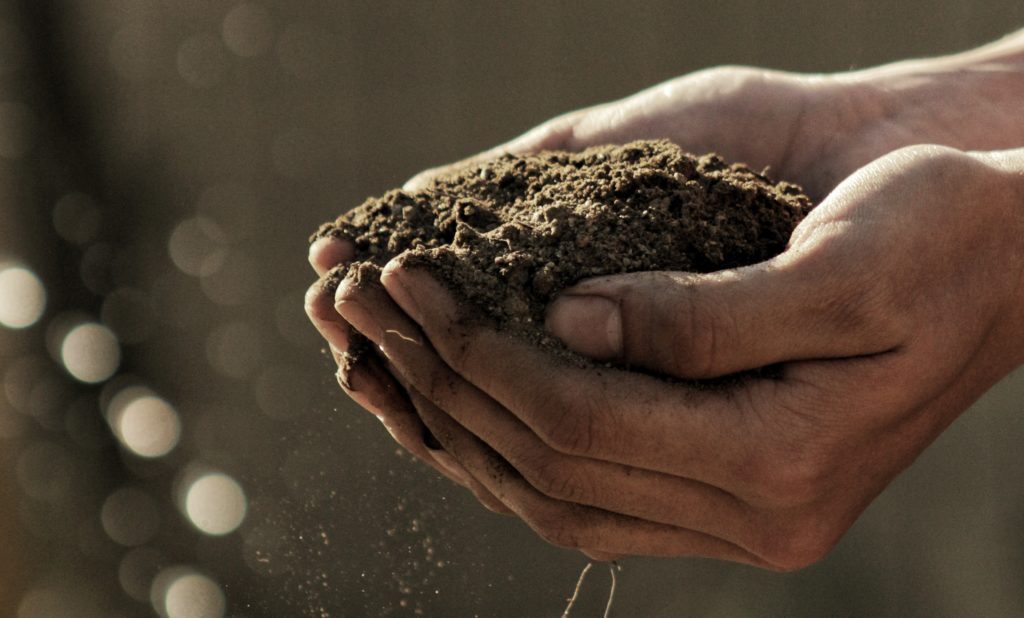 hands holding soil