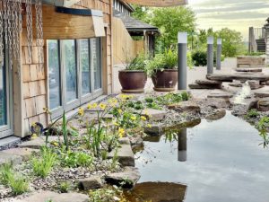 Earth Lab Rainwater feature