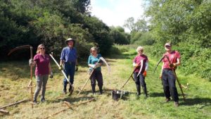 Land management volunteers