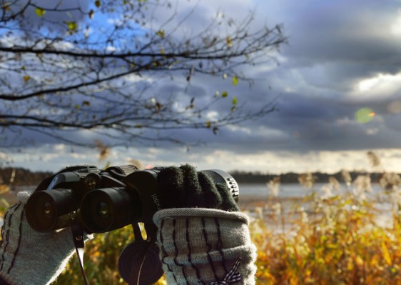 gloved hands holding binoculars, birdwatching wetland birds at thrupp lake abingdon oxfordshire