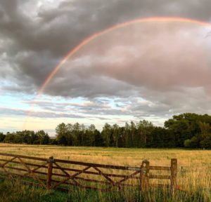 rainbow shining over Earth Trust's North Farm in Oxfordshire