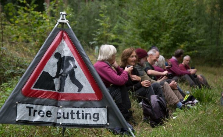 Volunteers woodland management coppicing