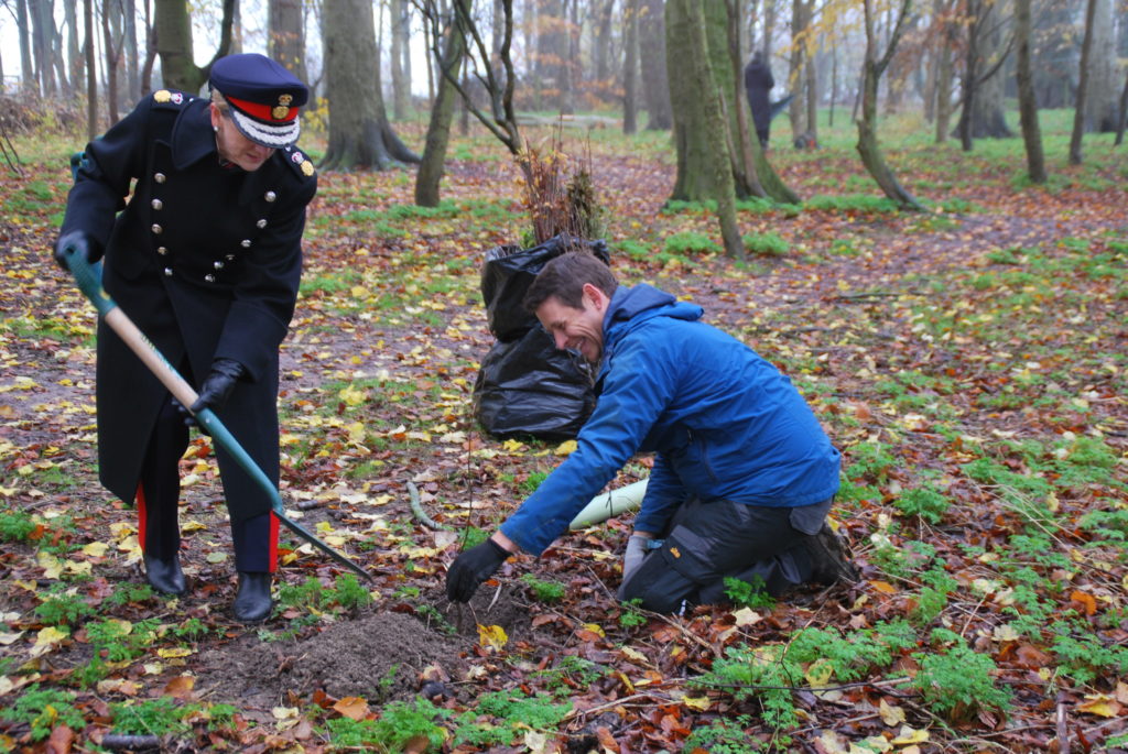 Queens green canopy tree planting earth trust