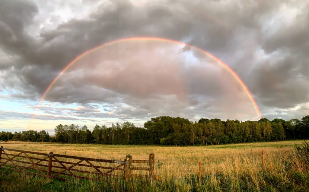 Earth Trust farm oxfordshire