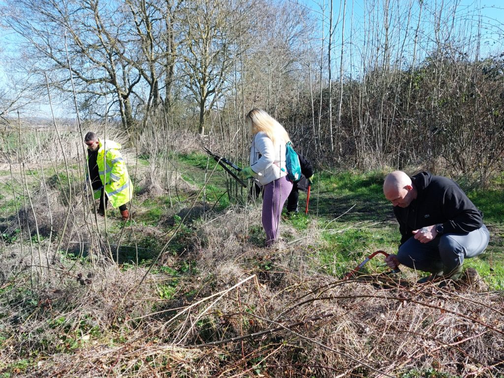 2 men and a women are clearing brush in a woodland setting