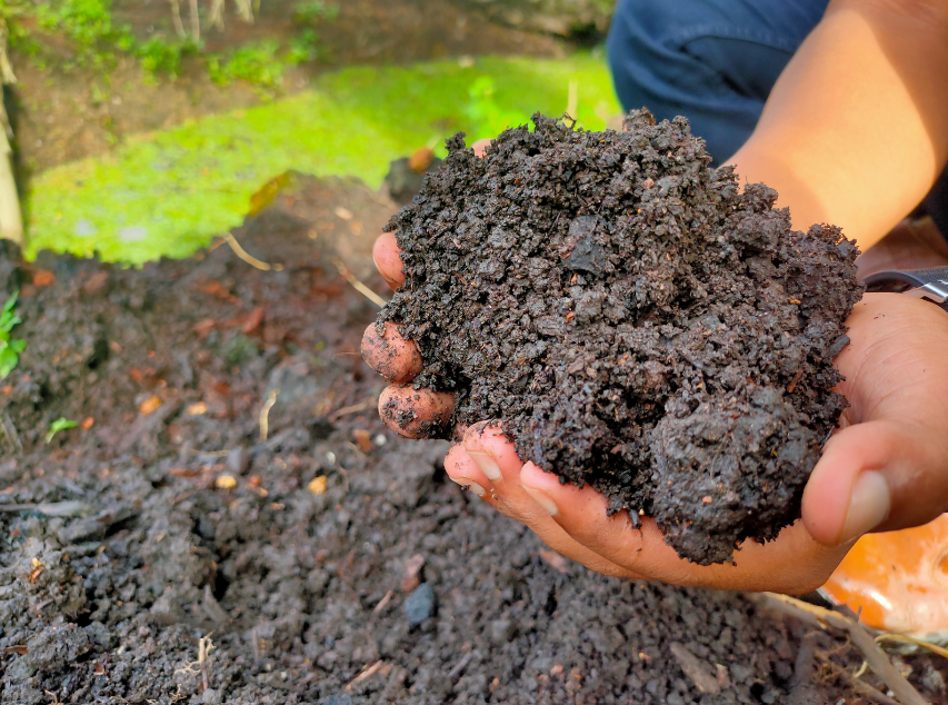 choose peat free compost to save the planet