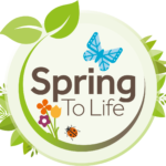 spring to life celebrate the season by noticing and nurturing nature on your doorstep