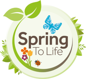 spring to life celebrate the season by noticing and nurturing nature on your doorstep