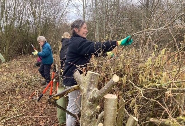 ladies hedglaying in UK winter to help nature and support biodiversity