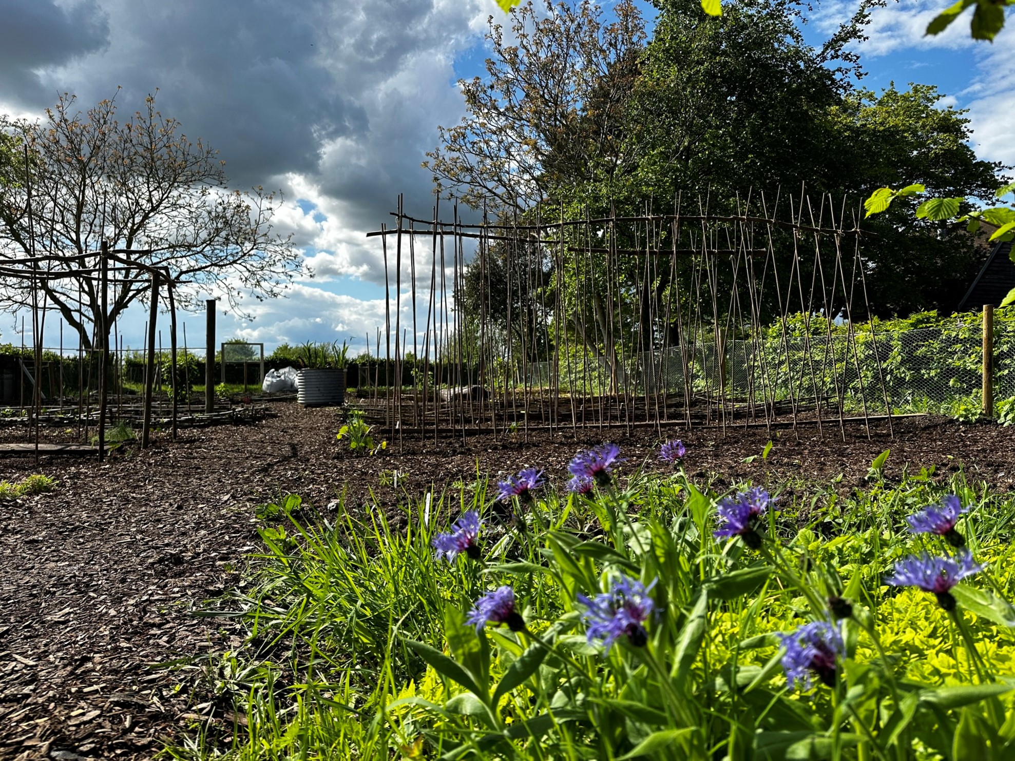 Education gardener - Earth Trust