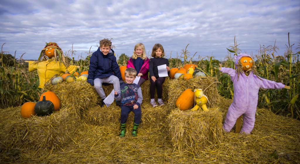 Children enjoying pumpkin picking and scarecrow trails at the Earth Trust pumpkin patch event