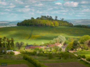 Wittenham Clumps in Spring Credit Hedley Thorne