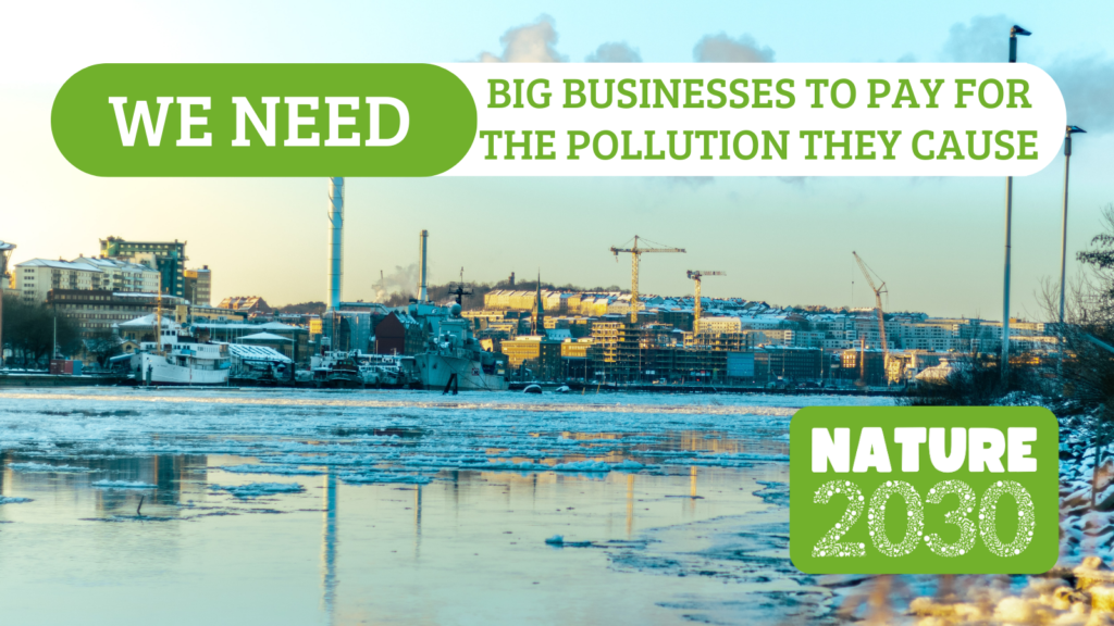 nature 2030 campaign image of city beyond water's edge with text we need big businesses to pay for the pollution they cause