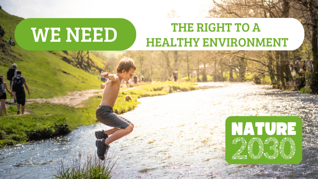 nature 2030 campaign image of boy jumping into a river and text we need the right to a healthy environment