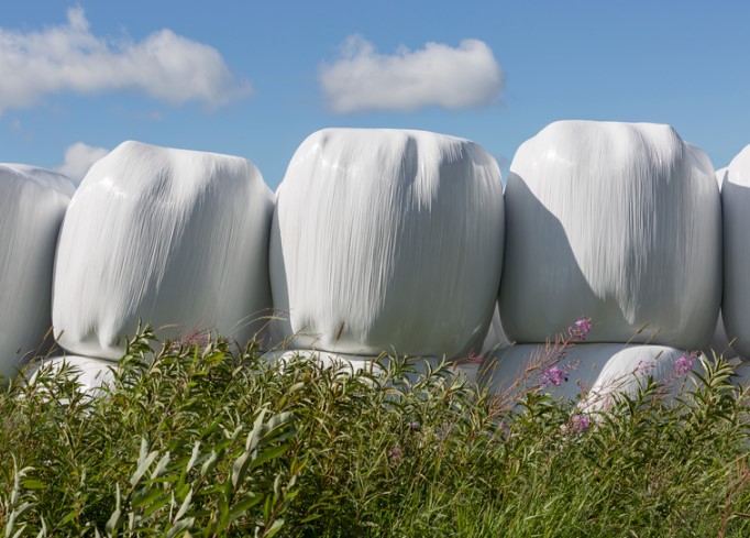 crop silage