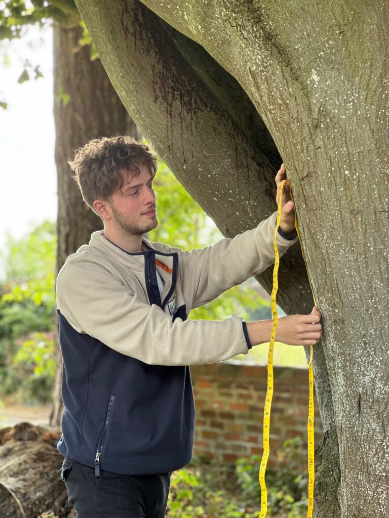 New to nature access all areas trainee at earth trust measuring trees