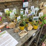 Earth Trust community fundraising plant sale in wallingford