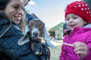 earth trust lambing festival goat