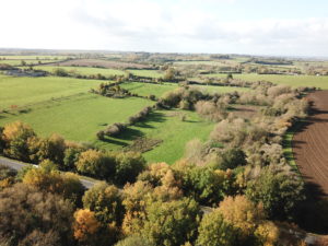 Tuckmill meadows