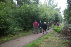 Coppicing