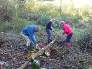 Coppicing