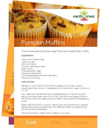 Earth Trust pumpkin pack