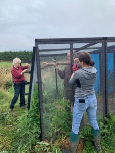 owl conservation project constructing a temporary aviary at Earth Trust farm