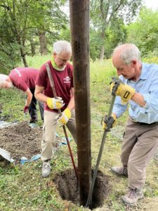 Coppice Coop - post tamping in - Mike Towndrow