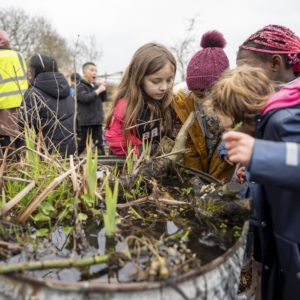 Earth School pondlife