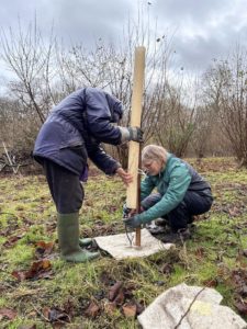 Coppice Coop volunteers - Mike Towndrow