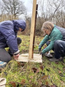 Copice Coop tree planting volunteers - Mike Towndrow