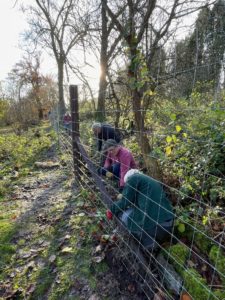 Coppice coop - John Hawkins