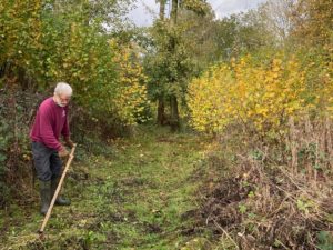 Volunteer scything