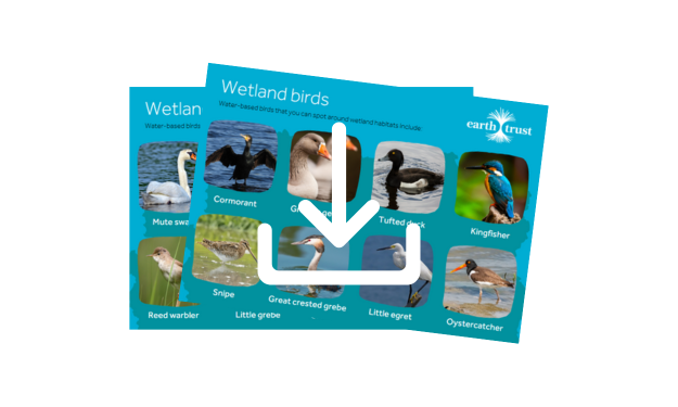 Earth Trust Oxfordshire wetland bird ID Guide