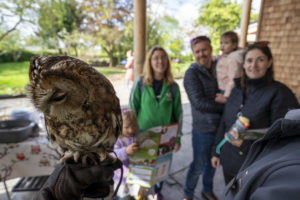 owls at earth trust farm oxfordshire