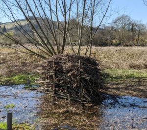 Dead hedge stream moat - Martin Barrett