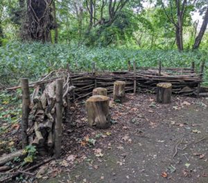 Dead hedge seating - Martin barrett