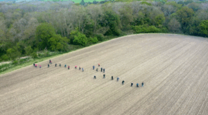 bessie's field