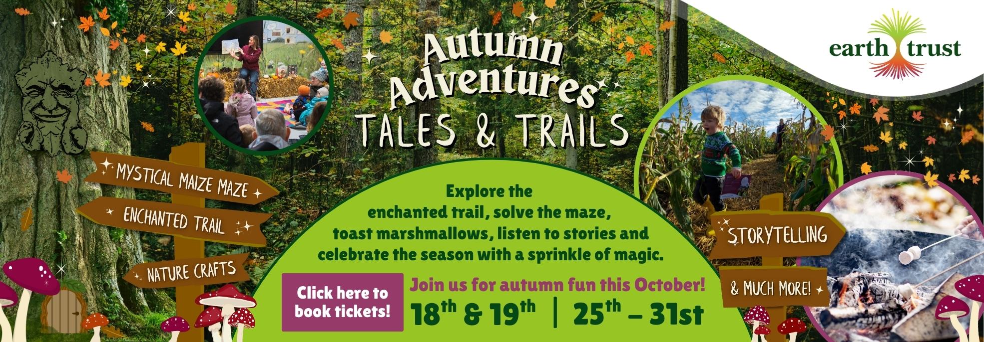 A banner showing a woodland, campfire, maize maze and storyteller. Autumn leaves float down, as mushrooms grow up from the base. Autumn Adventures: Tales and Trails.