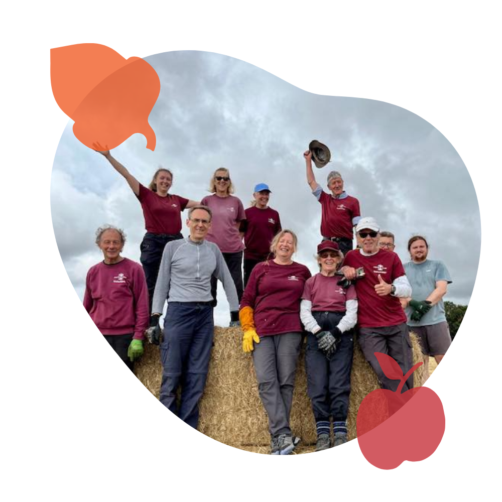 Volunteer group hay bales