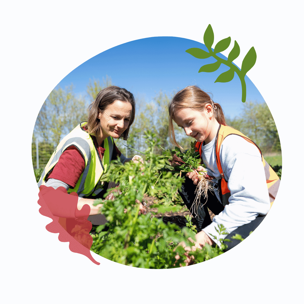 In the Edible Classroom