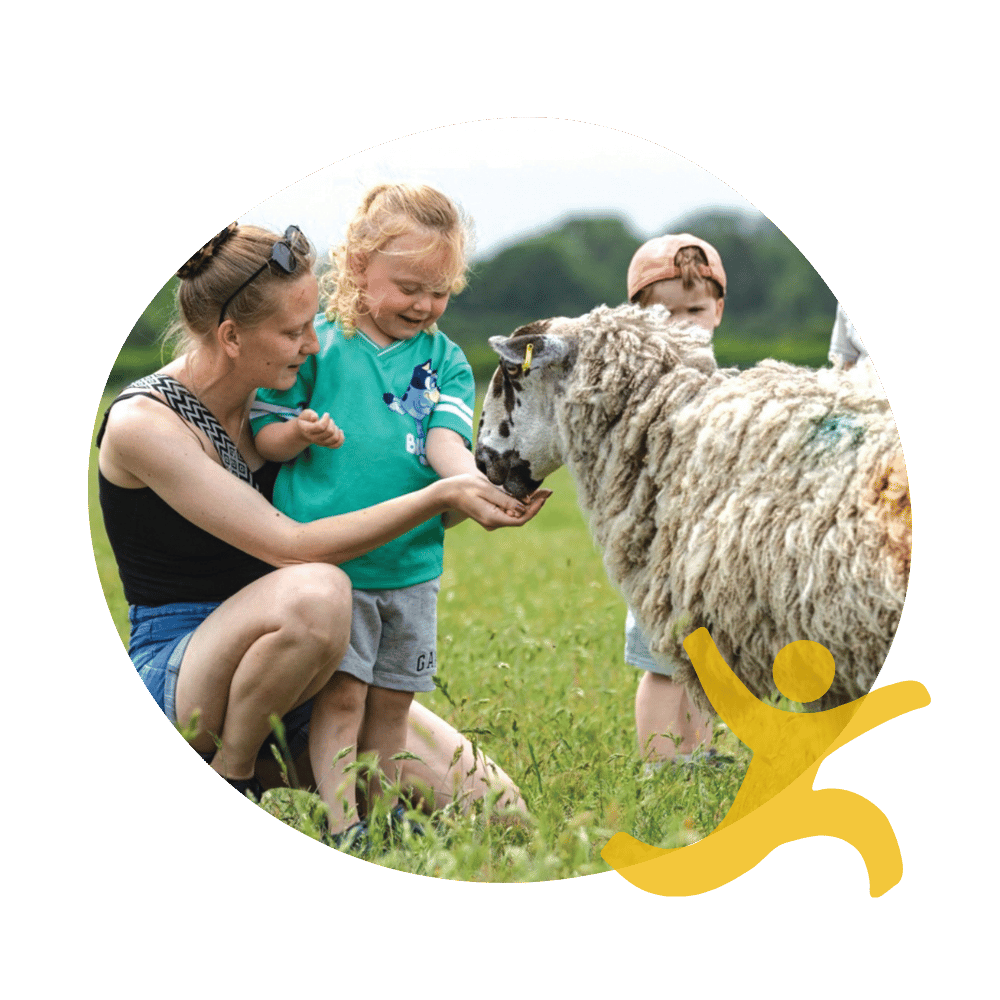 A family group feed a sheep