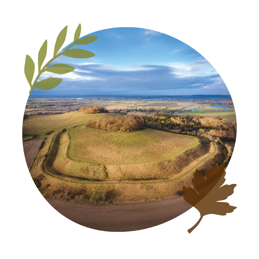 Castle Hill from above